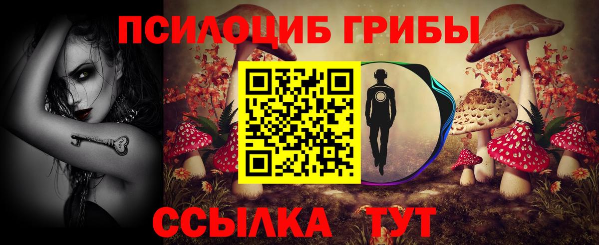Галлюциногенные грибы Psilocybe Ханты-Мансийск